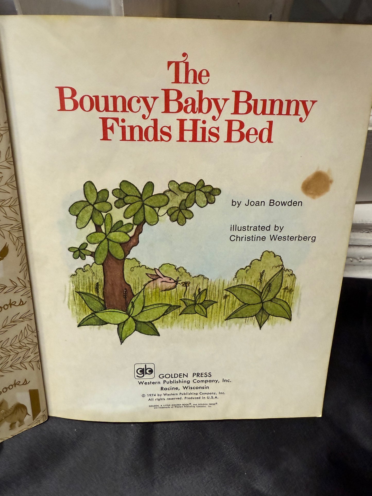 The Bouncy Baby Bunny Finds His Bed Children's book
