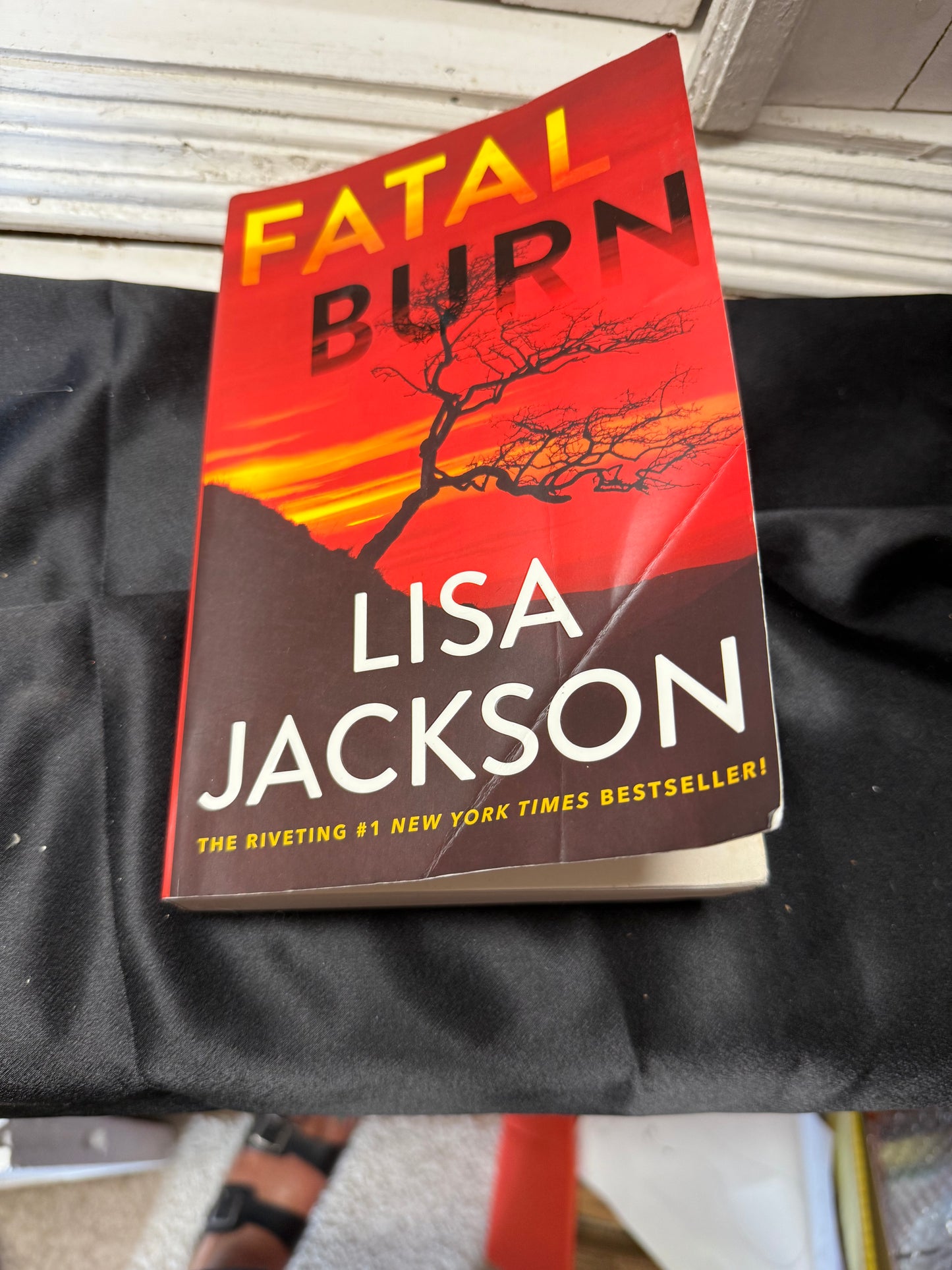 Fatal Burn Lisa Jackson