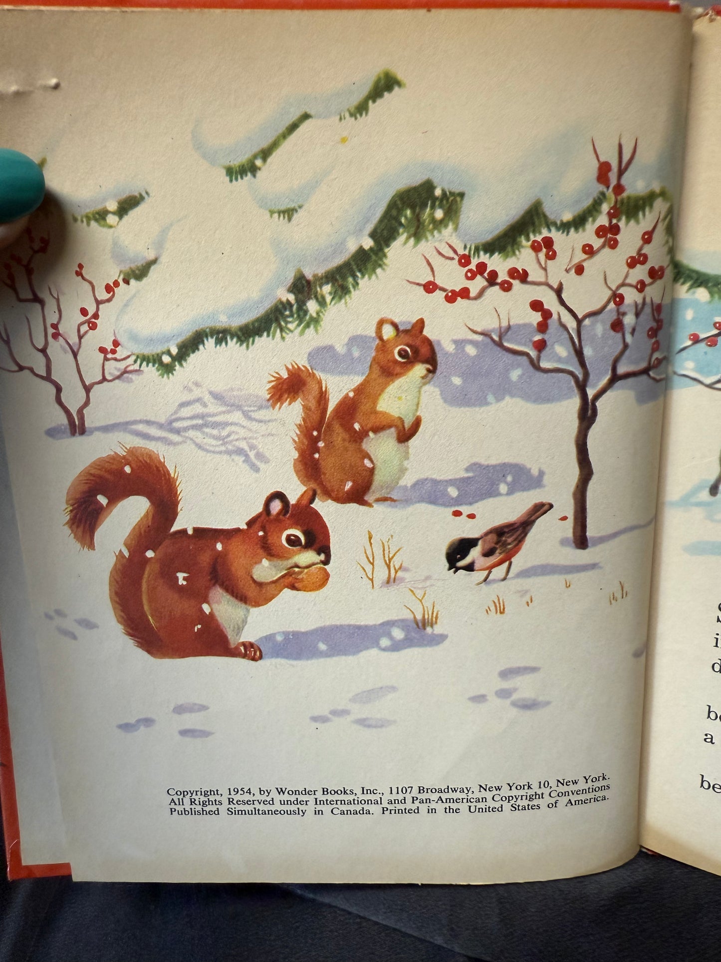 Bunny Hopwell's First Spring 1st ed 1954