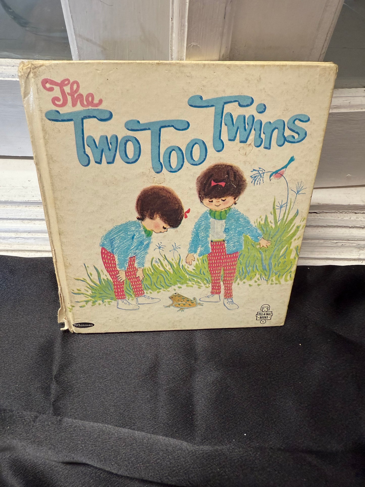 The Two Too Twins 1st Ed 1966