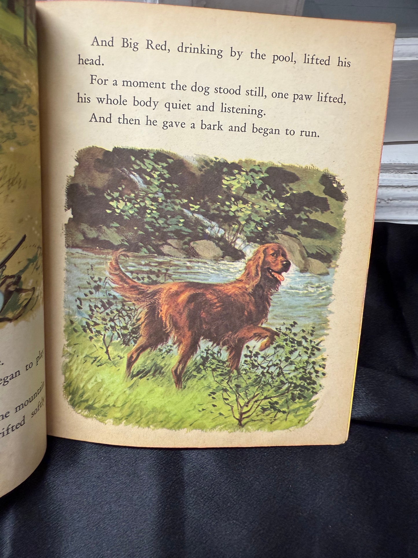 Walt Disney's Big Red 1st ed 1961