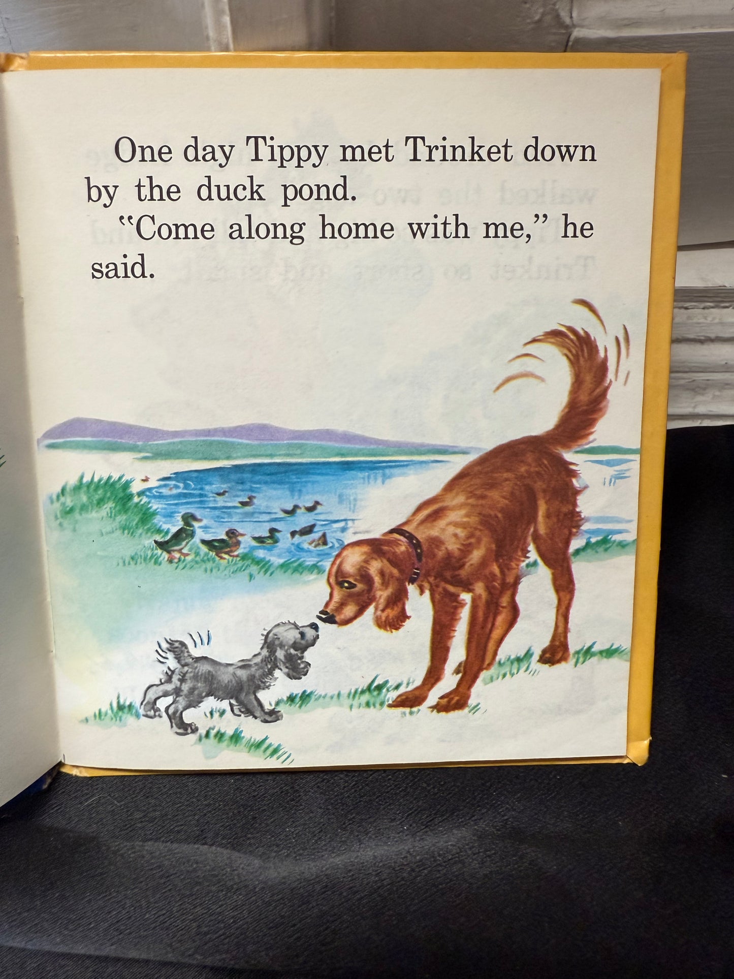 Nobody's Puppy  1953 1st ed